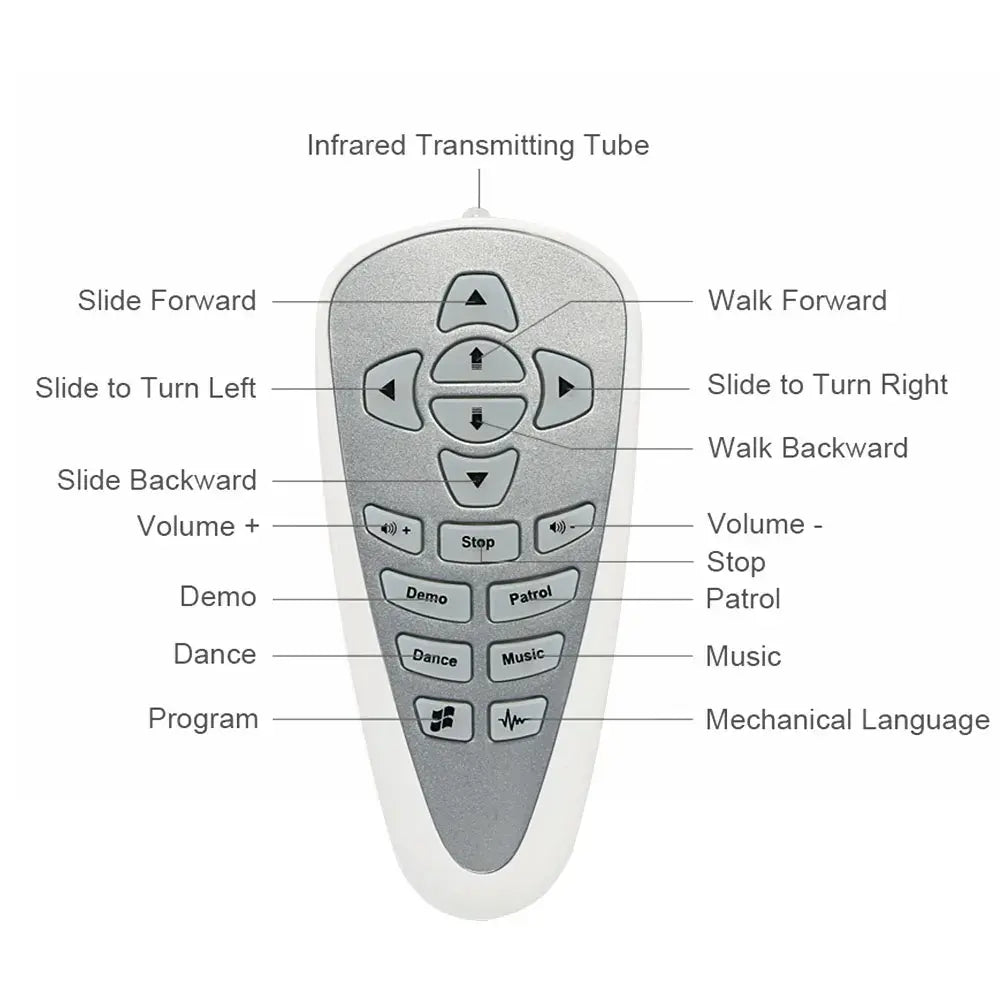 Cadi Robot: Interactive Programming Robot Toy